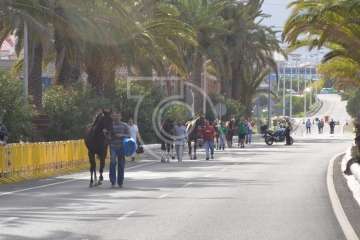 Carreras de caballo de San Gregorio Taumaturgo 2018
